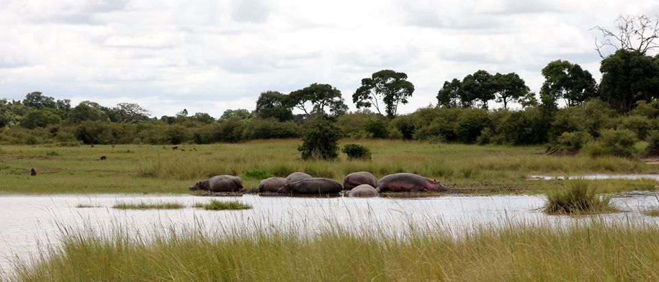 Paesaggio africano, foto di Daniele Lucia Rapisarda